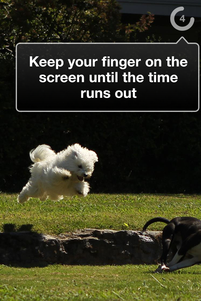 iPhone Screenshot 1
